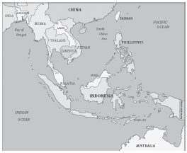 The ASEAN medical device market